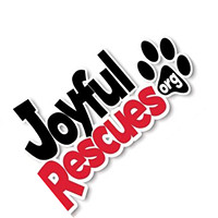 Joyful Rescues